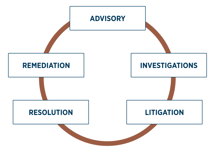 Conyers services - advisory, investigations, litigation, resolution, remediation